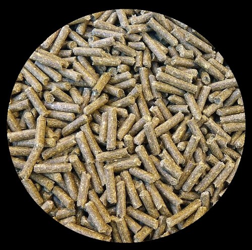 Chinchillafutter reine - chinchillafutter, kg