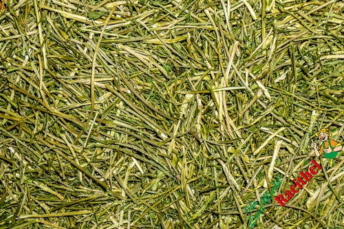 Petersilienstiele - (4,08€/kg),