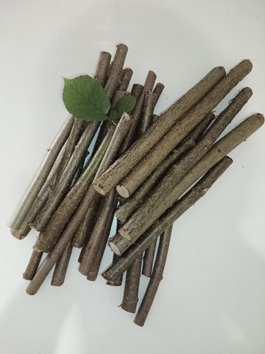 Haselnuss 1 kg - 1,