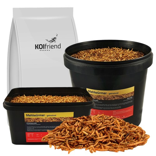 Koifutter mehlwürmer - koifutter,
