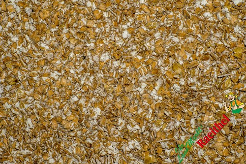 Weizen gequetscht kg - gequetscht, 30