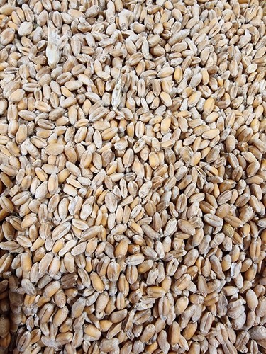 Weizen kg - (0,69€/kg),