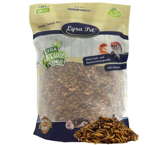 Protein boost insekten - kg,