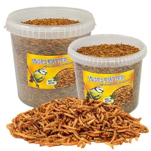 Vogelfutter mehlwürmer - vogelfutter,