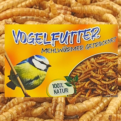 Vogelfutter mehlwürmer - 10, kg