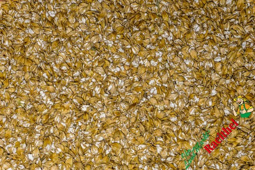 Gerste gequetscht - (0,91€/kg),